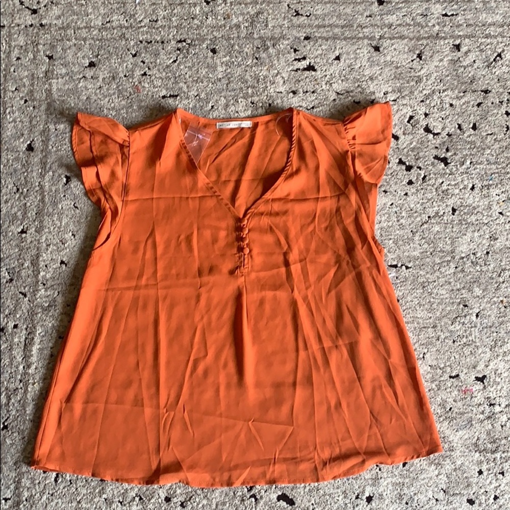 Sheer Blouse